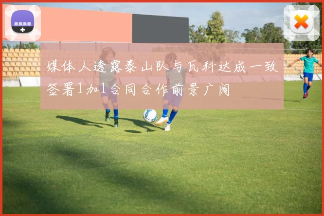 媒体人透露泰山队与瓦科达成一致签署1加1合同合作前景广阔