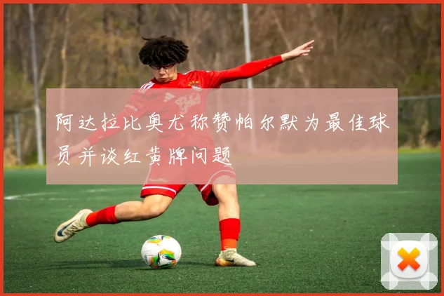 阿达拉比奥尤称赞帕尔默为最佳球员并谈红黄牌问题