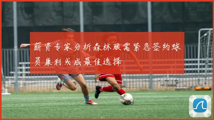 薪资专家分析森林狼需紧急签约球员康利或成最佳选择
