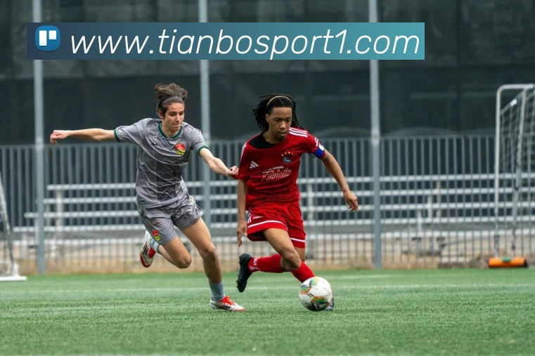 天博足球服务体系